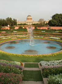 The Gardens