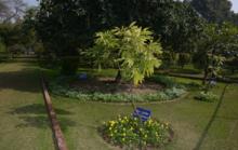 Spiritual Garden0