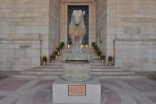 Rampurva Bull 4