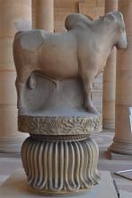 Rampurva Bull 2
